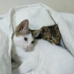 なっちゃんと冬ちゃん！