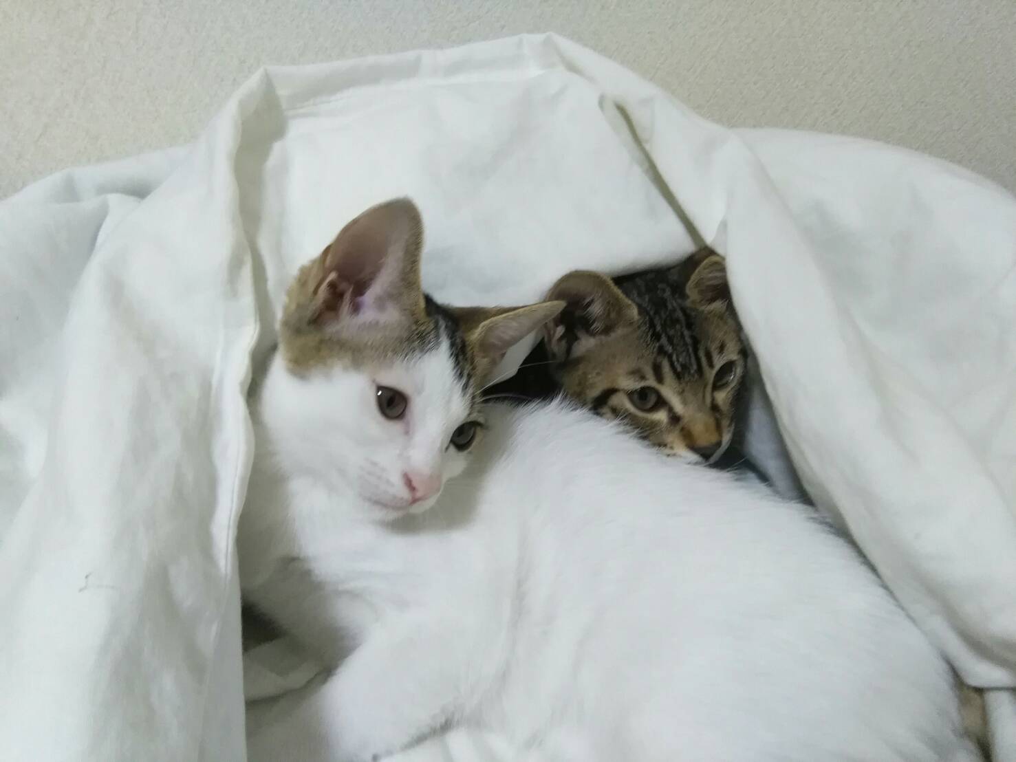 なっちゃんと冬ちゃん！