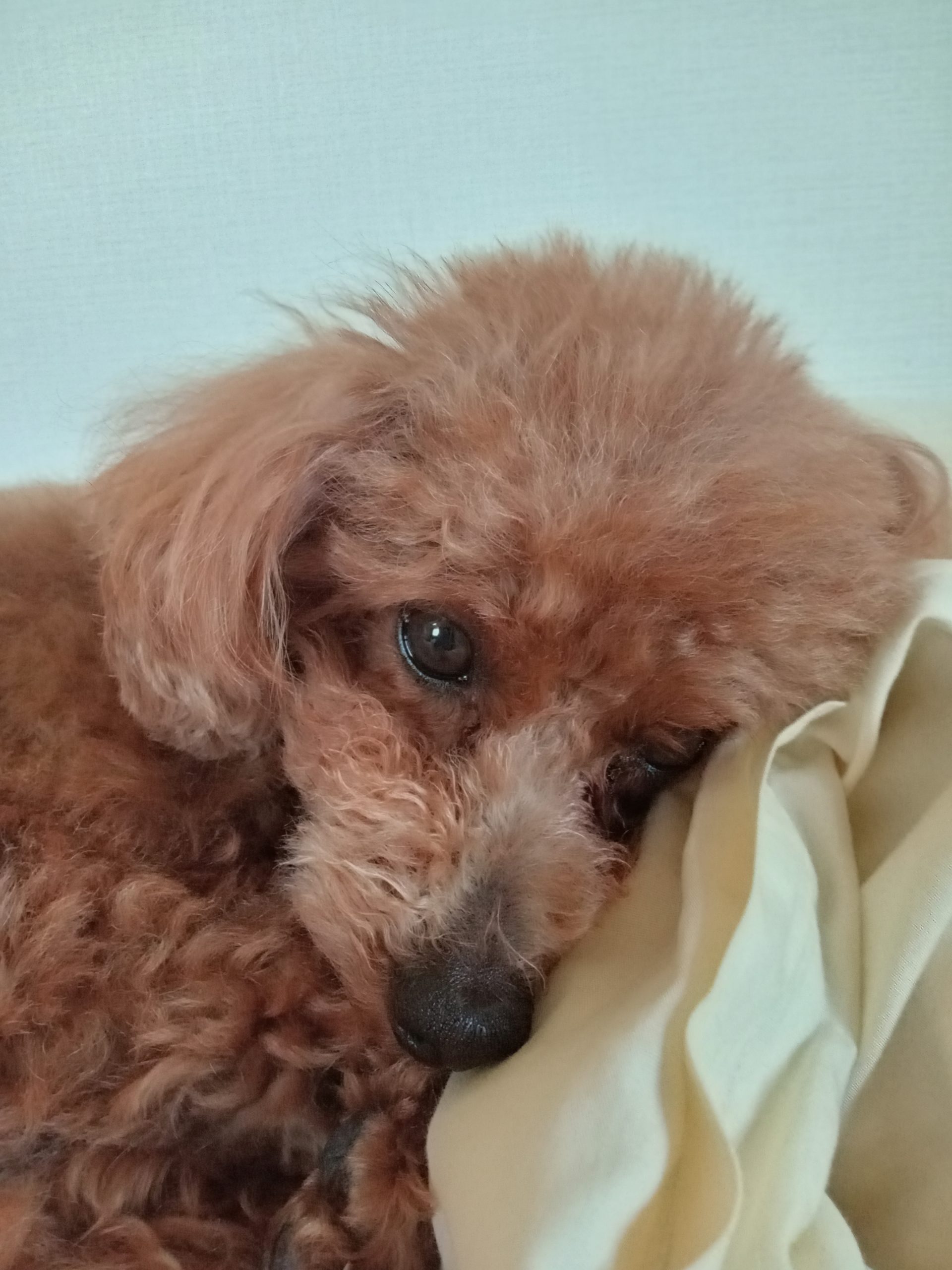 我が家のリーダー!!