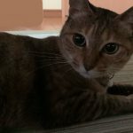 くるみちゃんのお気に入りの場所
