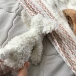 しろの何気ないゆるゆる投稿写真集