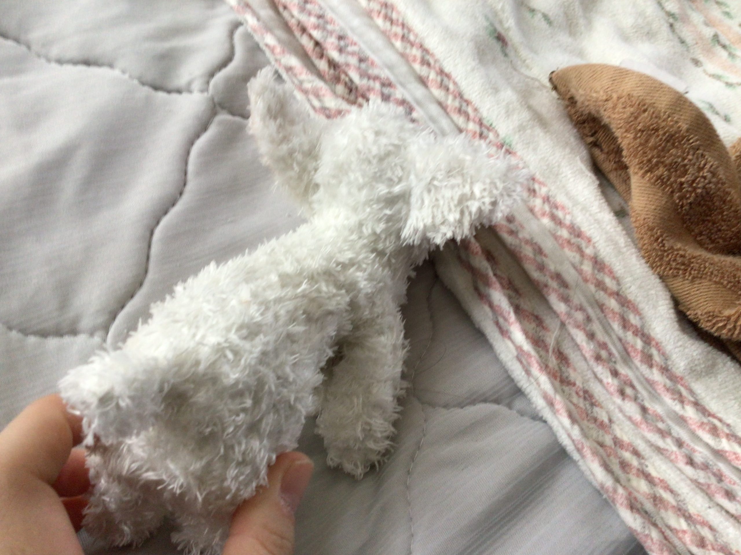 しろの何気ないゆるゆる投稿写真集