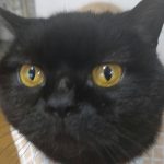 可愛いまるちゃん！