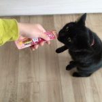 最強！ウマ神ちゅーる☆