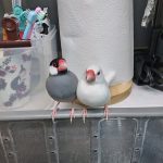 ピーちゃんとクーちゃんの仲良し兄弟
