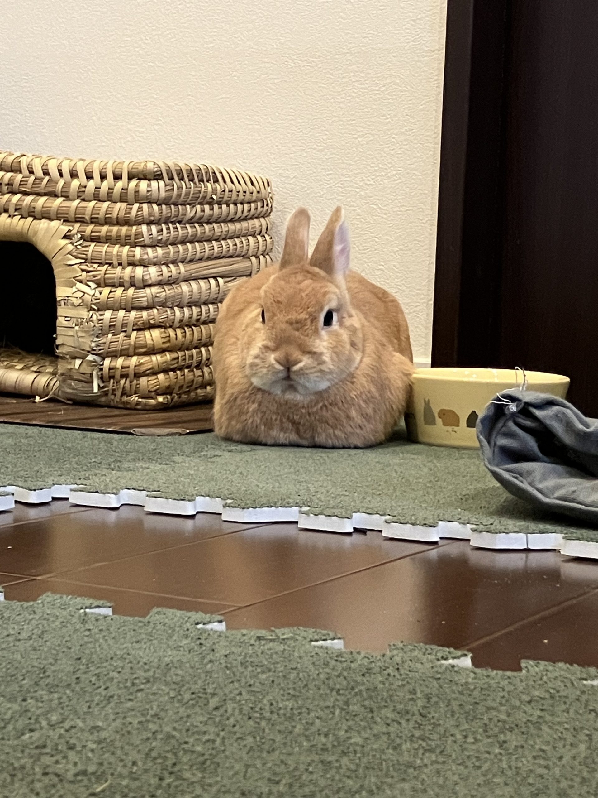おきもの？