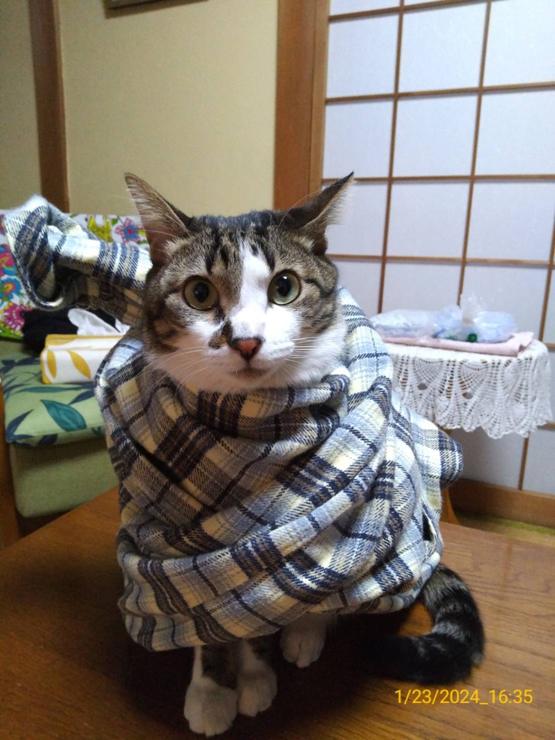 寒い寒い
