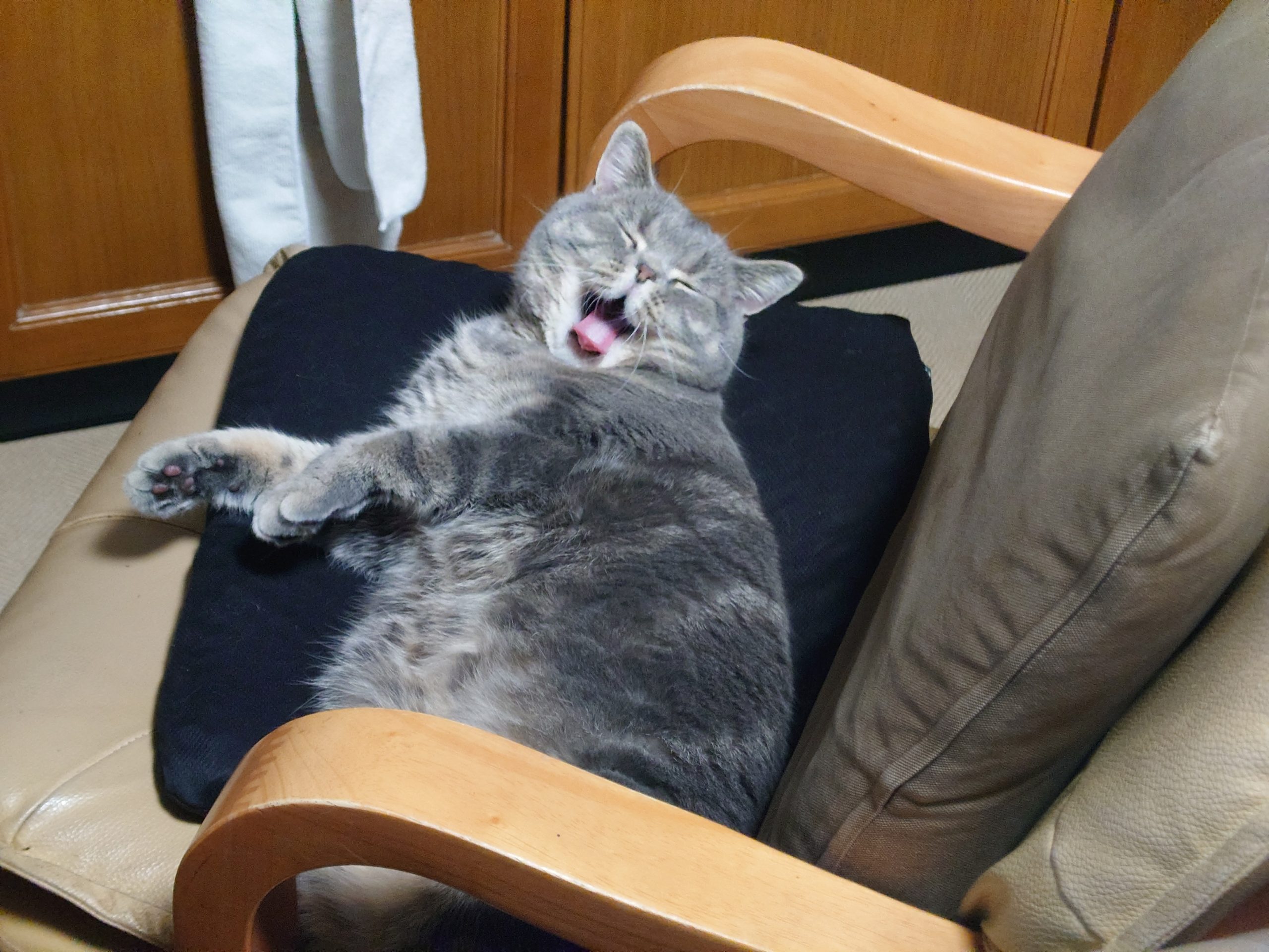 へんがお