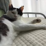 そらまる