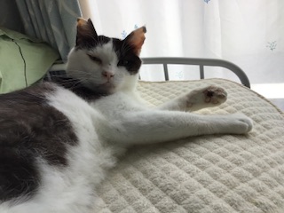 そらまる