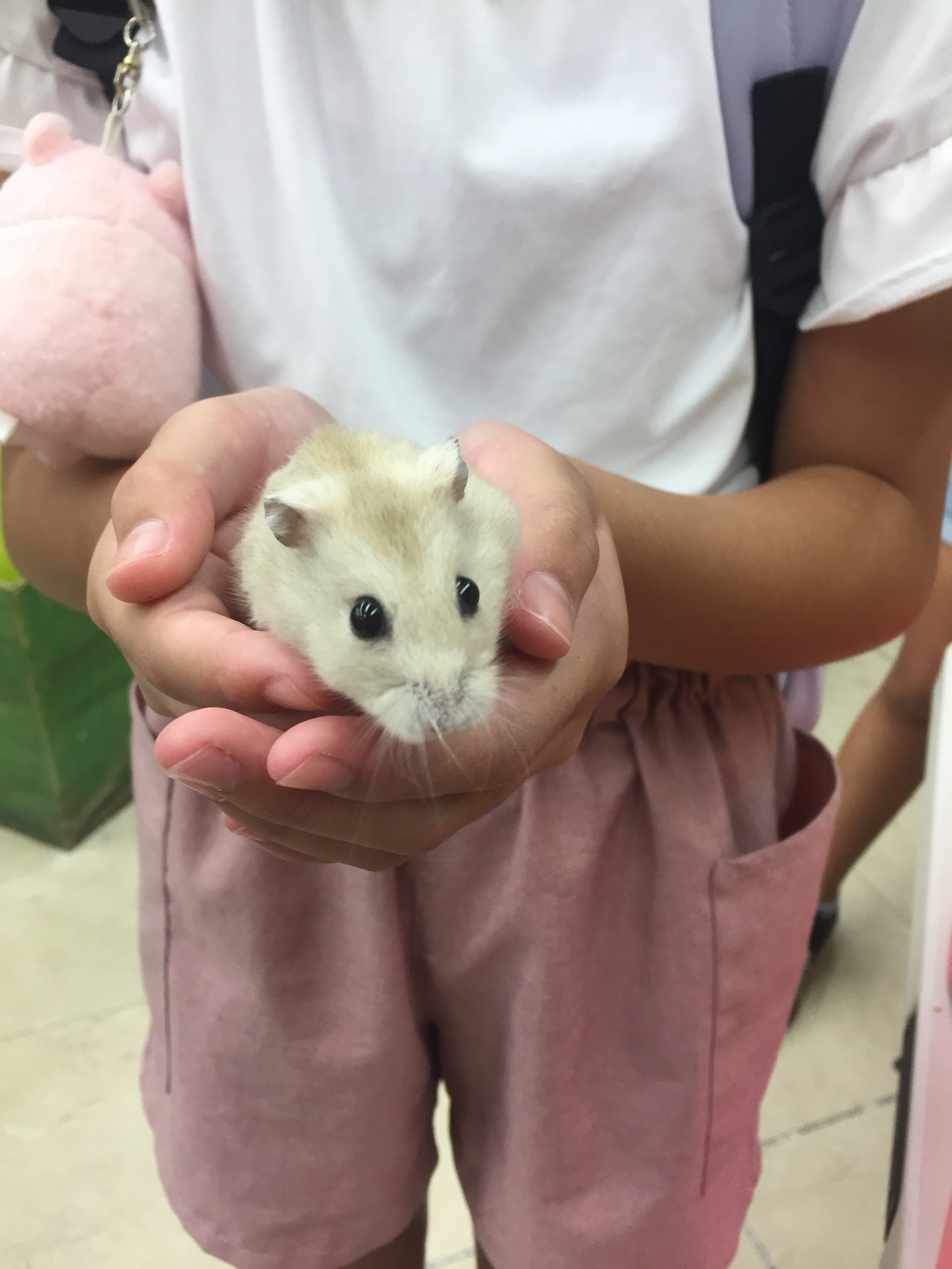 きいちゃんかわちぃ!