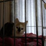 そらちゃん