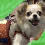 家の天使のさっちゃん！！